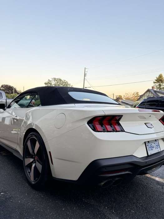 Coated paint resisting dirt and water spotting — ceramic coating Kelowna, BC